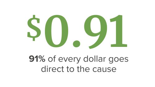 91% of every dollar goes to the cause.jpg