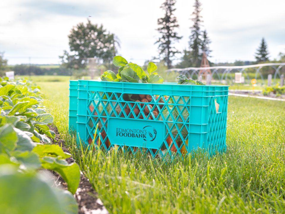 Give Food Edmonton's Food Bank