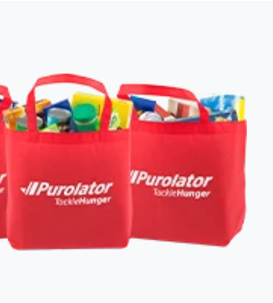 Red Bag screenshot from website.png