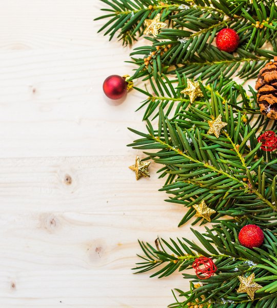 Christmasberry and branches.jpg