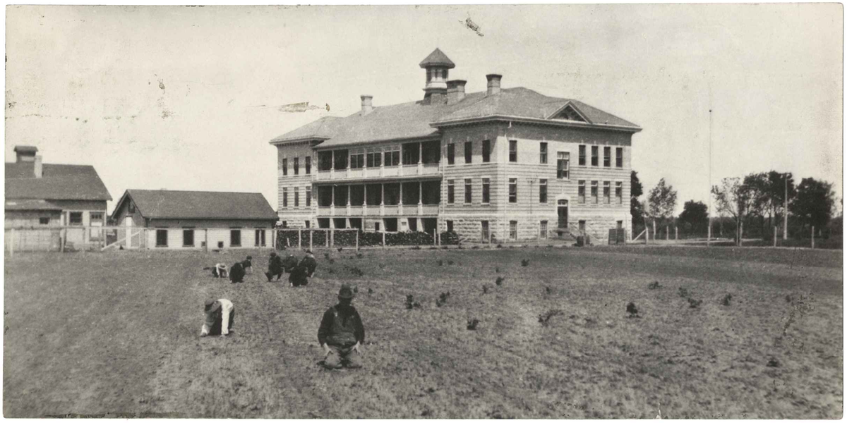 boys-planting-Portage-la-Prairie-Indian-Boarding-School.png