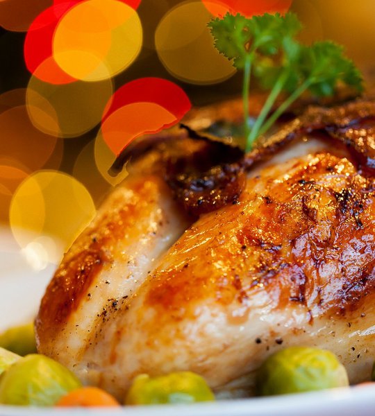 Christmas_Turkey.jpg