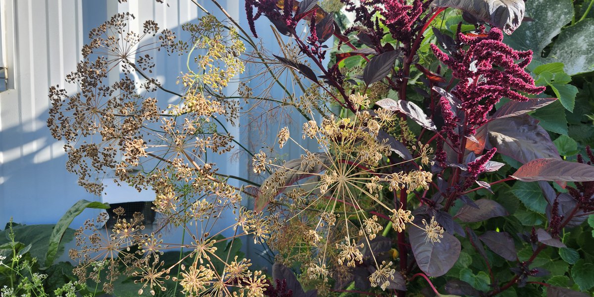 garden 1.jpg