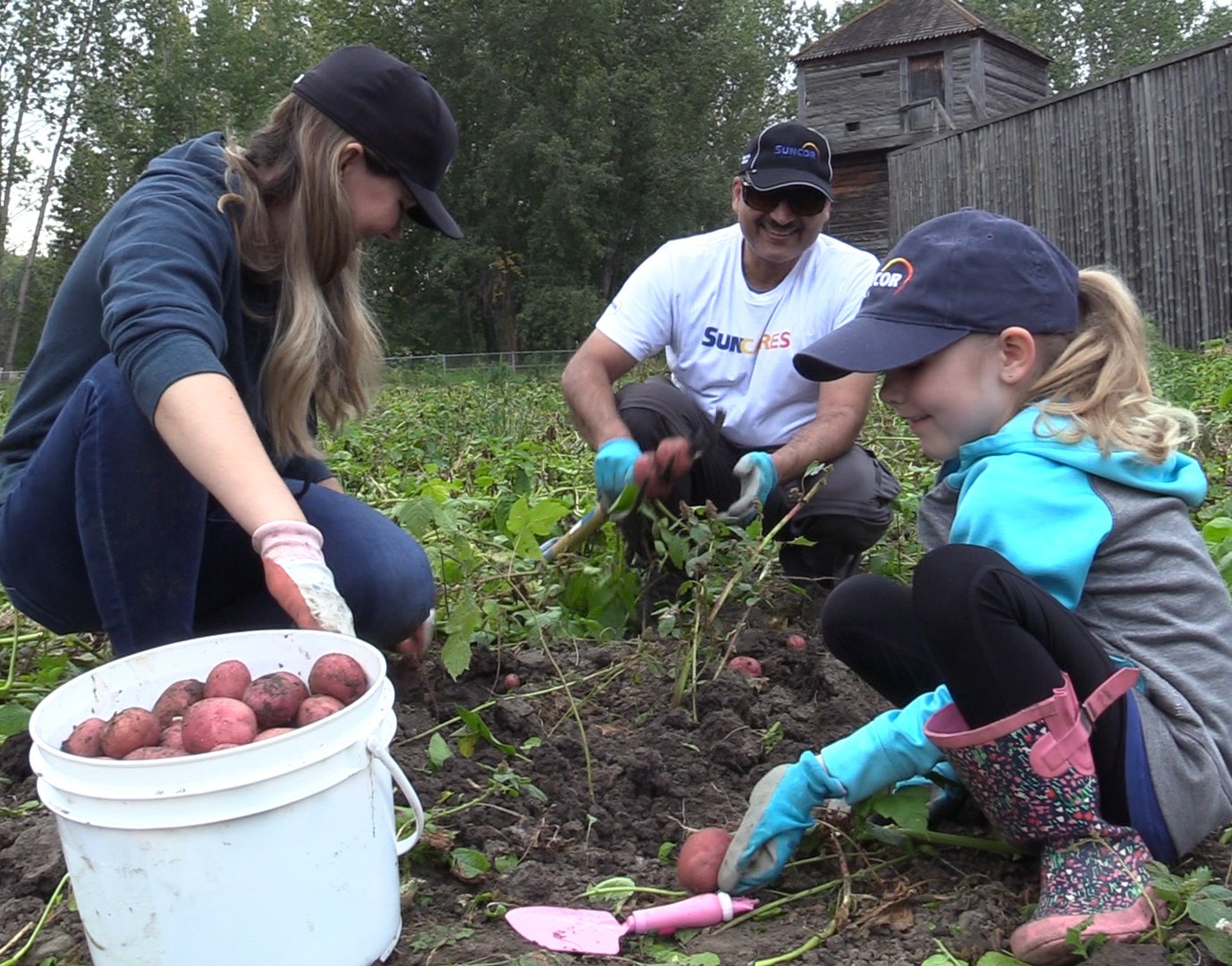 Updates Edmonton's Food Bank
